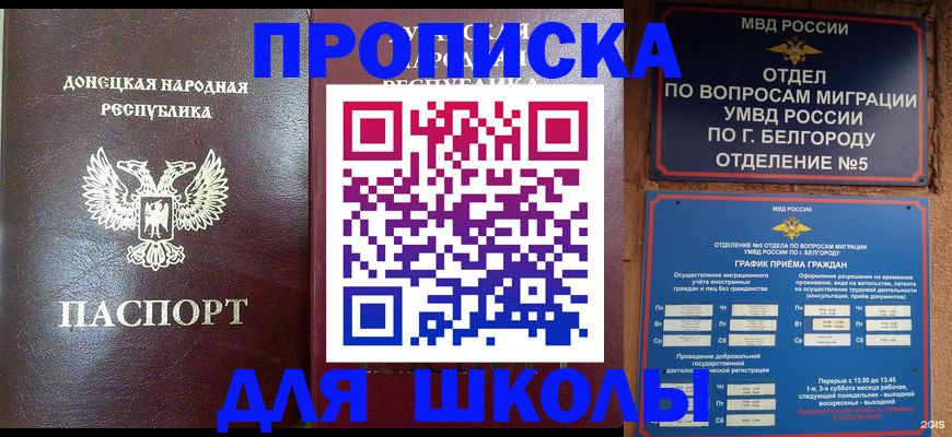 прописка для работы в Волосово